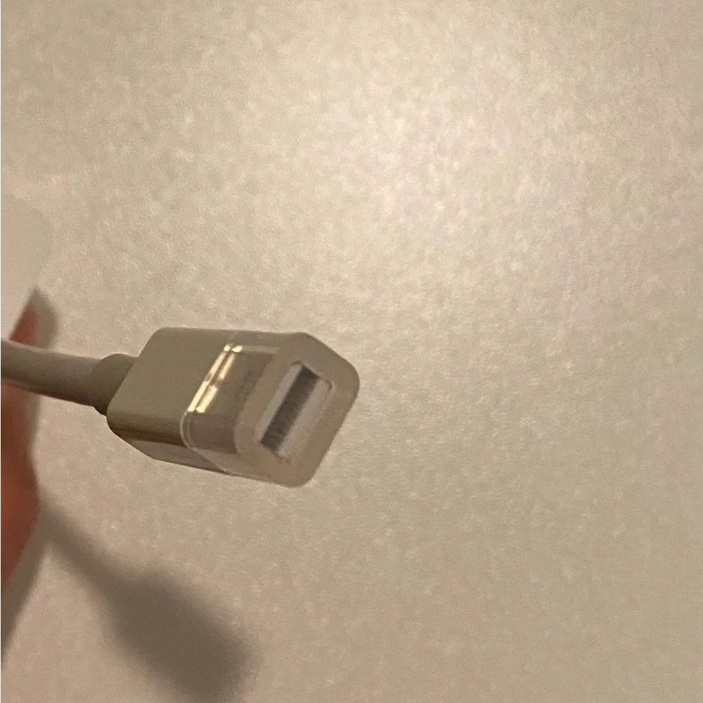 Apple Mini DisplayPort to DVI Adapter